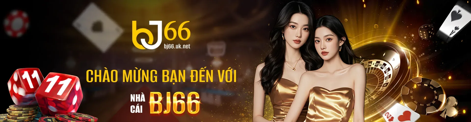 baner bj66